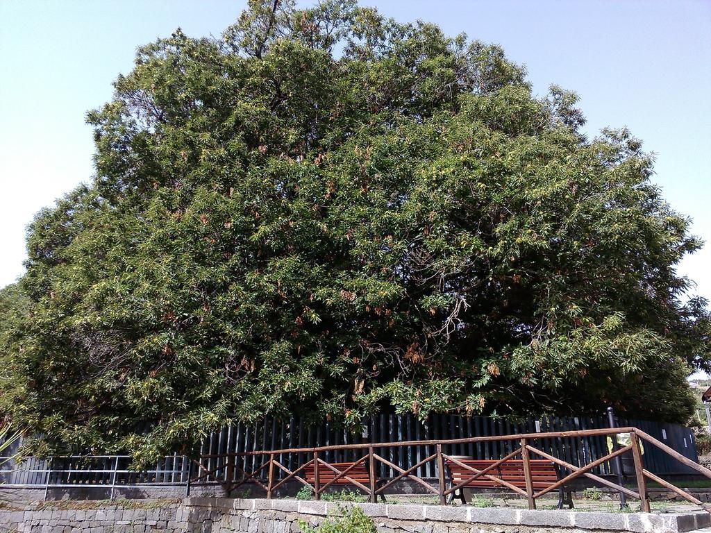 Oltre Il Giardino Villa Pedara Phòng bức ảnh
